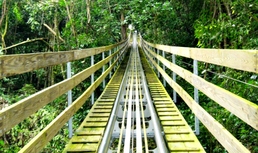 Mystic Mountain Ocho Rios