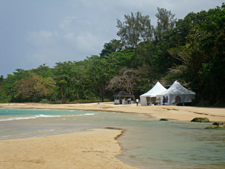 Wedding at Laughing Waters